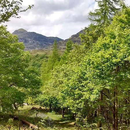 ブライナイ・フェスティニオグ Mountain Walks Straight From The Doorstepヴィラ エクステリア 写真