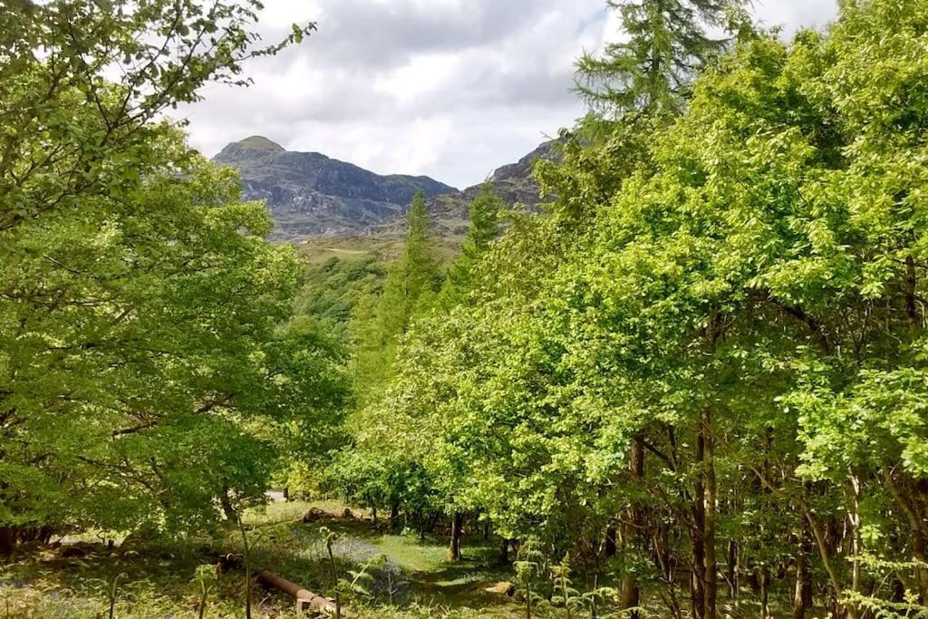 ブライナイ・フェスティニオグ Mountain Walks Straight From The Doorstepヴィラ エクステリア 写真